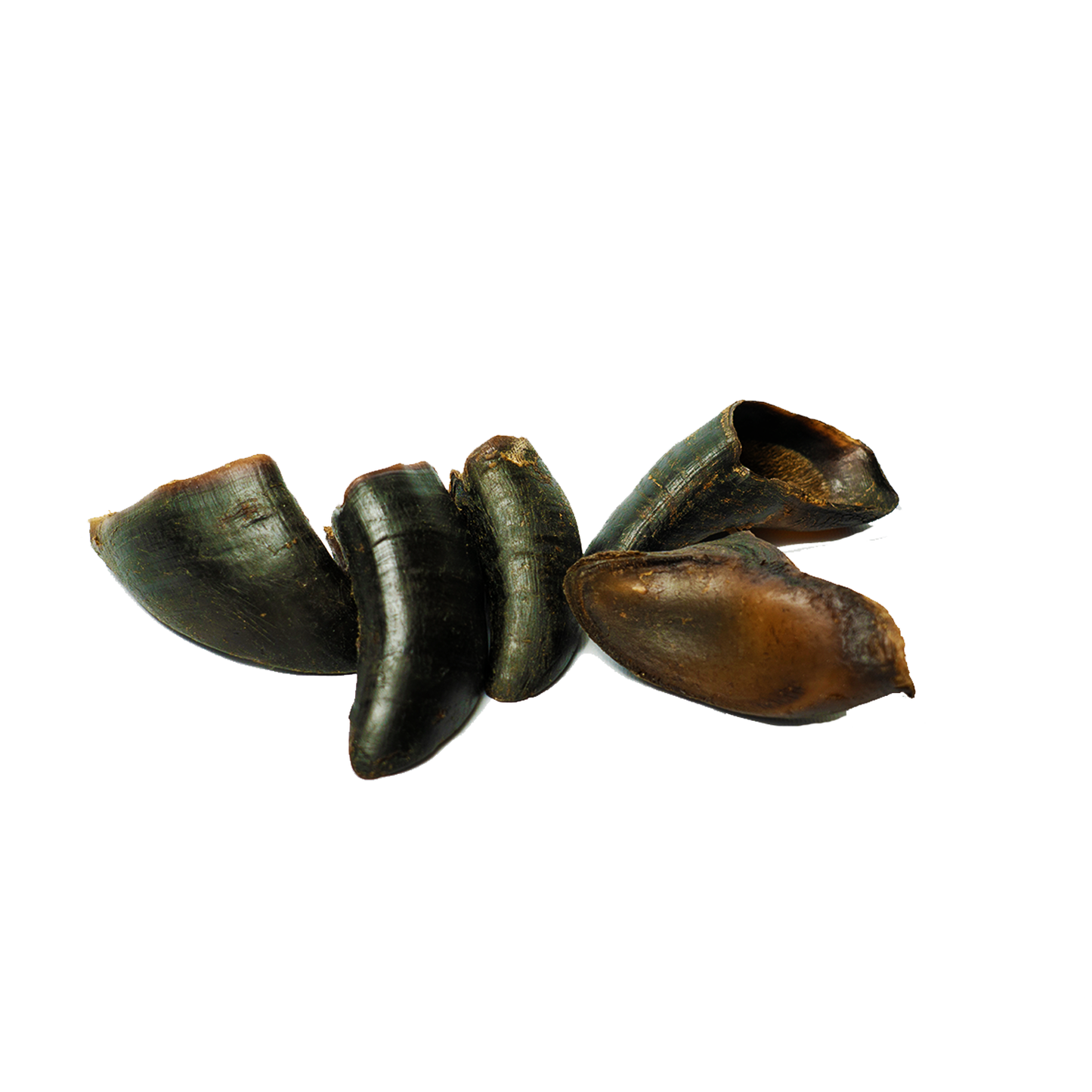 Water Buffalo Hooves-100% Natural, High Protein, Long-Lasting,