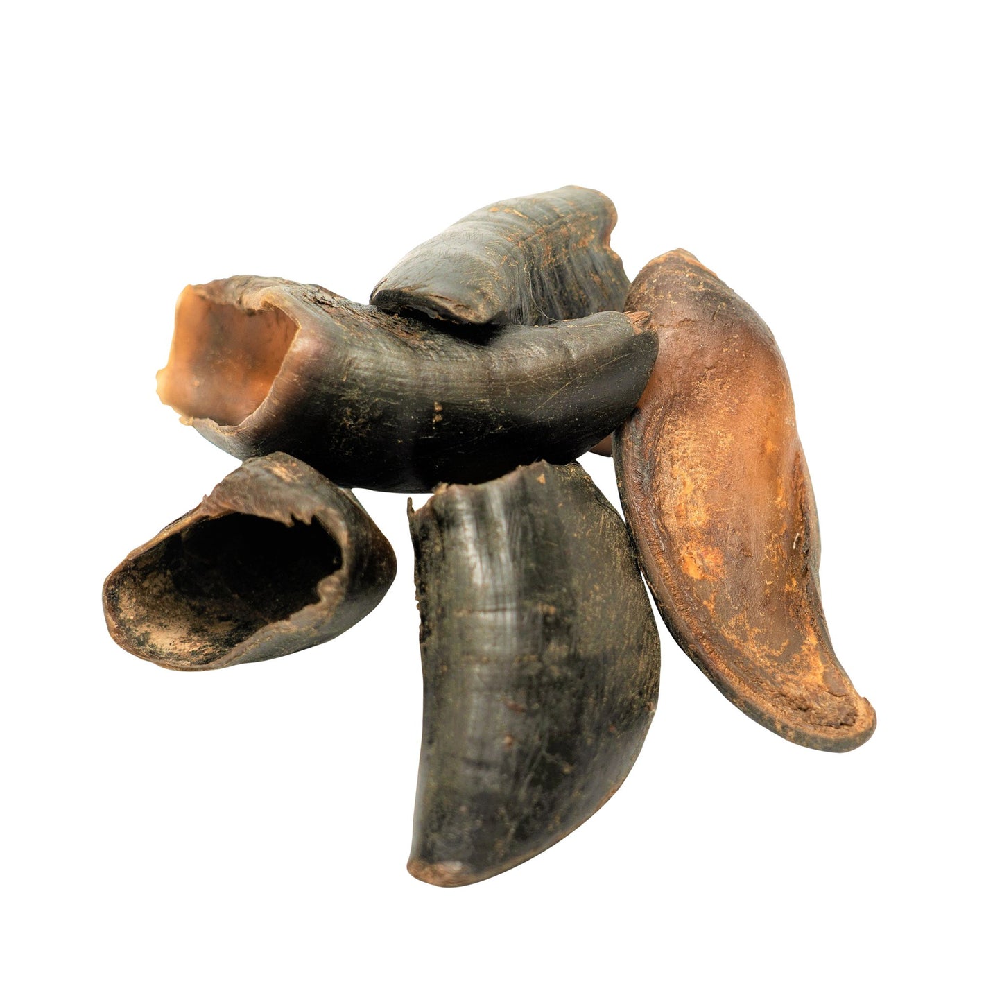 Water Buffalo Hooves-100% Natural, High Protein, Long-Lasting,