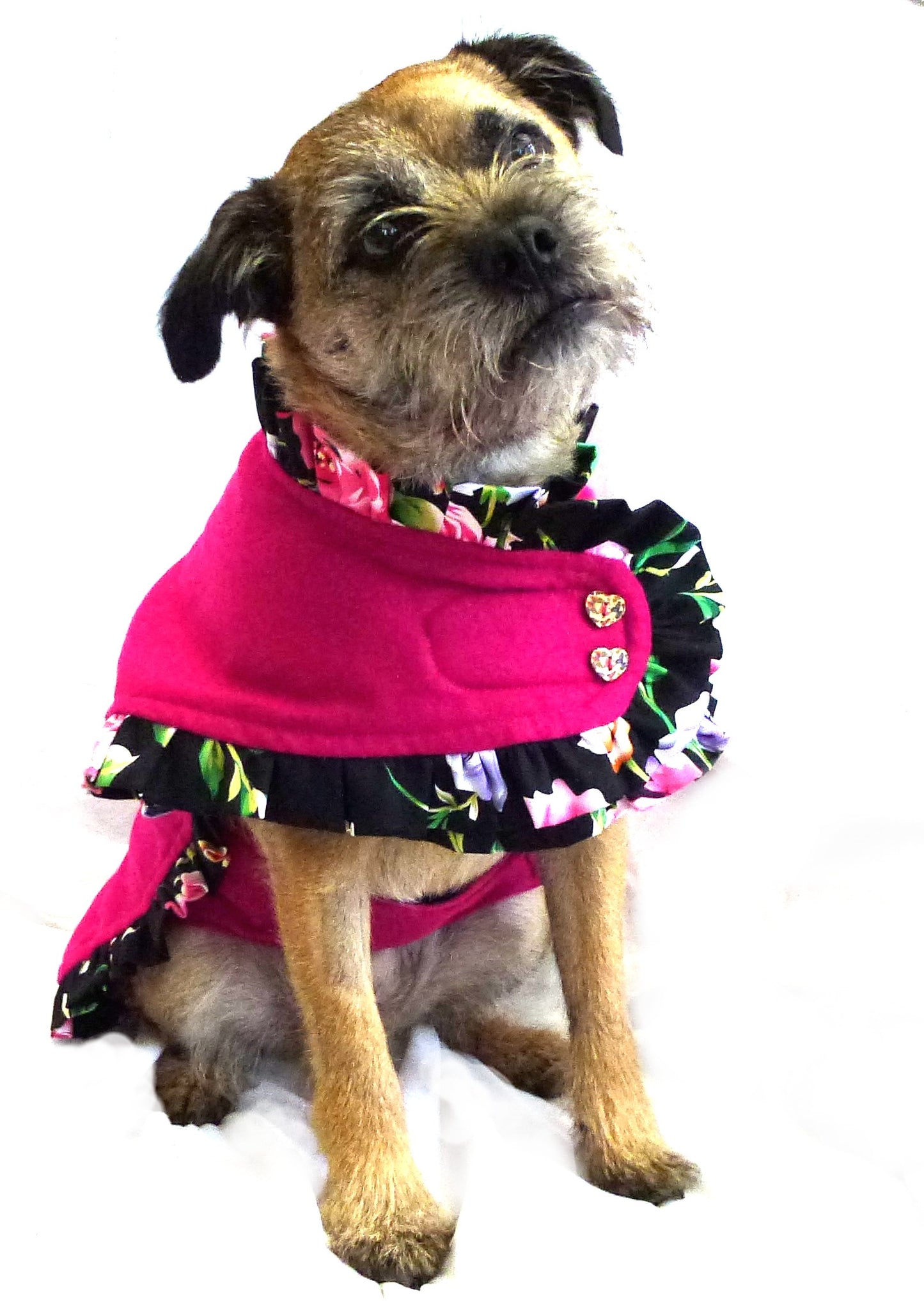 Flamenco Dog Coat Jacket by Prediletto Pet Couture